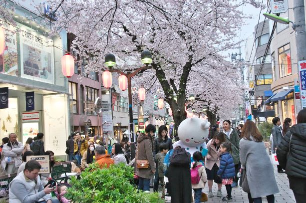 今年も桜まつりやりますよ 自由が丘オフィシャルウェブサイト