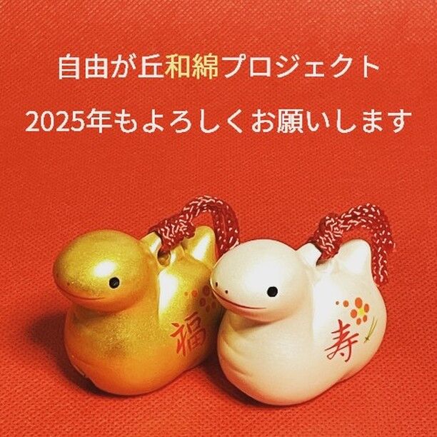 新年あけましておめでとうございます。
2025年も和綿プロジェクトを皆さんと盛り上げていきたいと思います。
どうぞよろしくお願いします！

#自由が丘和綿プロジェクト #自由が丘sdgs宣言 #新年のご挨拶 #巳年